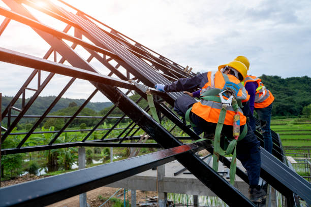 Best Roof Gutter Cleaning  in Laurel, MS